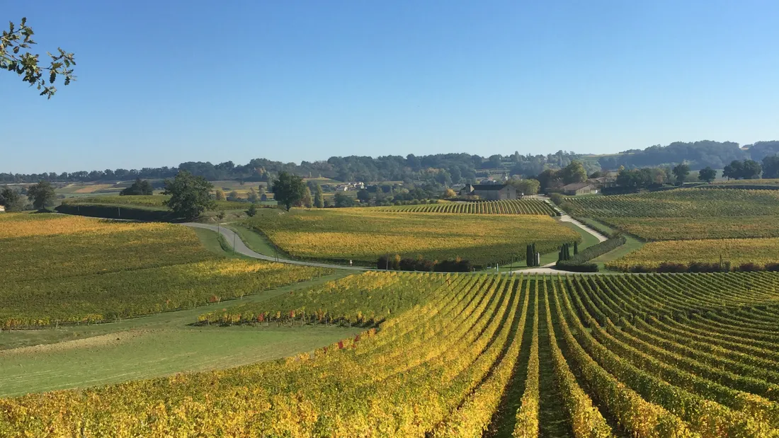 Un vignoble à Belle-île ?